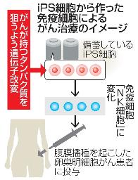　ｉＰＳ細胞から作った免疫細胞によるがん治療のイメージ