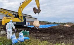 　鹿児島県出水市で埋却作業する県職員＝１３日午前（同県提供）