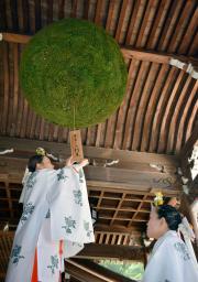 　奈良県桜井市の大神神社で、掛け替えられた大杉玉に木札を結び付けるみこ＝１３日