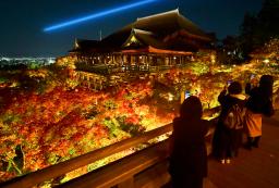 　夜間の特別拝観を前に清水寺で行われたライトアップの試験点灯。色づいたモミジと「清水の舞台」が鮮やかに浮かび上がった＝１７日夜、京都市