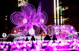 　札幌・大通公園で始まった「第４１回さっぽろホワイトイルミネーション」＝１９日夕