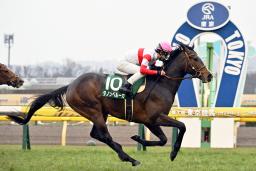 　共同通信杯を制したダノンベルーガ＝東京競馬場