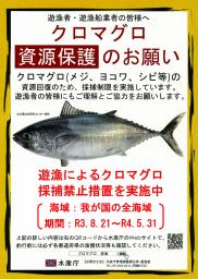 　クロマグロの遊漁に関する規制を伝えるポスター（水産庁提供）