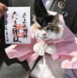 　宮司になった和歌山電鉄の「ニタマ」駅長と御朱印＝２２日午前、和歌山県紀の川市