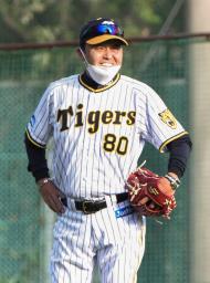 　秋季キャンプで練習を見守る阪神・岡田新監督＝高知県安芸市