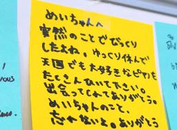 　冨川芽生さんが通っていた西江大の追悼スペースに張られたメッセージ＝２日、ソウル（共同）