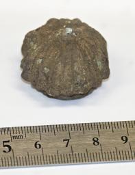 　吉野ケ里遺跡から出土した、奈良時代ごろの金属製の分銅「権」＝１１日午後、佐賀県庁