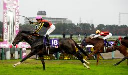 　第４７回エリザベス女王杯を制したジェラルディーナ（１８）＝阪神競馬場