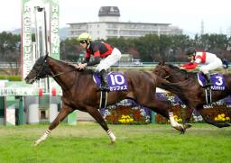 　第３９回マイルチャンピオンシップを制したセリフォス（１０）＝阪神競馬場