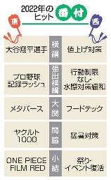 　２０２２年のヒット番付