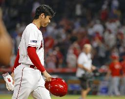 　２３日、レッズとのダブルヘッダー第２試合の９回に出塁するもチームはそのまま敗れ、ベンチに戻るエンゼルス・大谷＝アナハイム（共同）