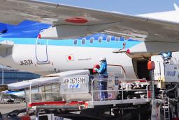 　航空機に貨物を積み込む作業員＝２月、羽田空港