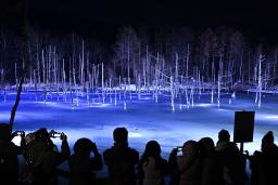 　北海道美瑛町の観光名所「青い池」で冬季のライトアップが行われている。訪れた人たちは雪で覆われた水面とカラマツが暗闇に浮かび上がる幻想的な風景を楽しんでいた＝１５日夜