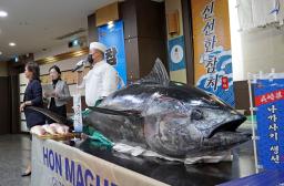 　１９日、ソウルで紹介された長崎県産の養殖マグロ（共同）