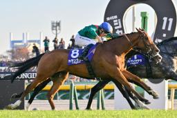 　第４５回ジャパンカップを制したミカエル・バルザローナ騎乗のカランダガン＝東京競馬場