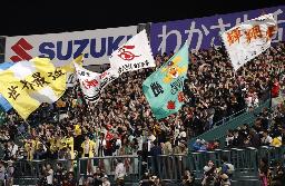 　日本一を喜ぶスタンドのソフトバンクファン＝１０月、甲子園