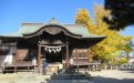 サムネイル画像