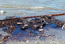貨物船沈没、油漏出　富津漂着、ノリ影響懸念　【台風１９号】