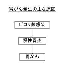 発生予防に除菌を　慢性胃炎進行時は注意　胃がん（１）　千葉県がんセンター内視鏡科医長　北川善康　【９月はがん征圧月間　ちば　がんにうち克つ】（１）