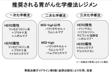 薬物療法効果上がる　薬剤併用で上乗せ期待　胃がん（３）　千葉県がんセンター治験臨床研究センター　治験臨床試験推進部主任医長　天沼裕介【９月はがん征圧月間　ちば　がんにうち克つ】（３）