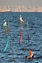 五穀豊穣、大漁願い「梵天立て」　厳寒の海へ若者１４人勇壮に　木更津・中島海岸