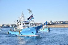 大漁旗なびかせ海へ　年始恒例の漕出式、安全と豊漁願う　銚子