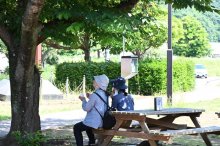 千葉県内、厳しい暑さに　市原牛久、猛暑日迫る３４・４度　各地で今年最高更新