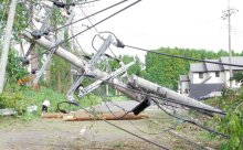 山武市、予防伐採１２ヘクタール完了　停電回避へ　病気拡大サンブスギ中心　【災禍に備える　房総半島台風・豪雨５年】