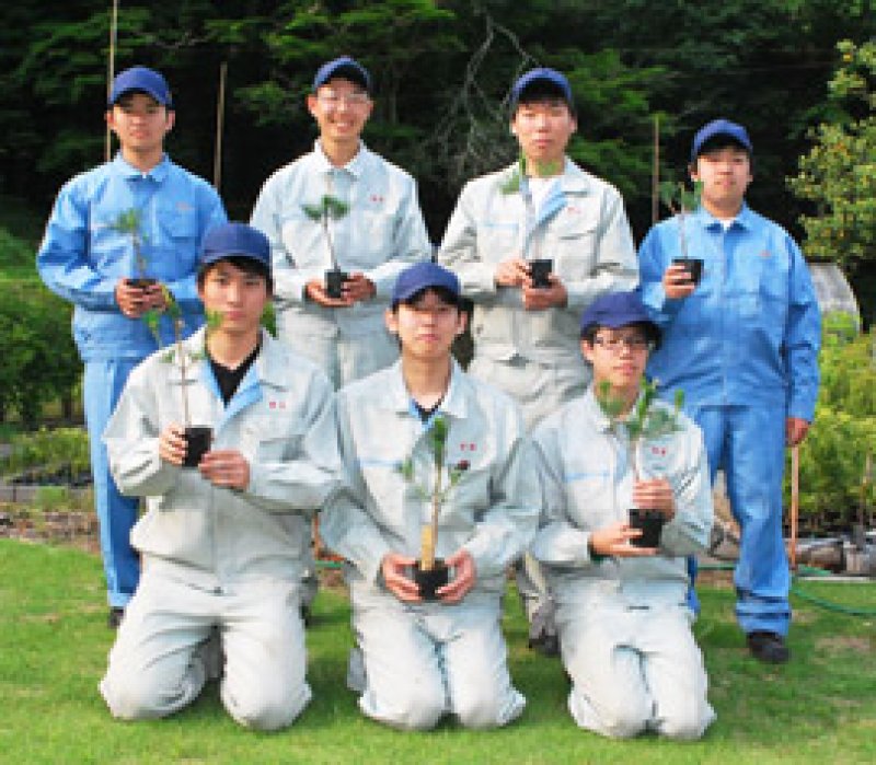ヒメコマツの保全に取り組む森クラブ同好会