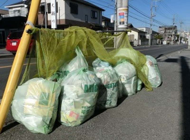 指定ごみ袋で排出された焼却ごみ。指定外の袋で捨てるなどの「不適正排出」も減っているという＝千葉市中央区