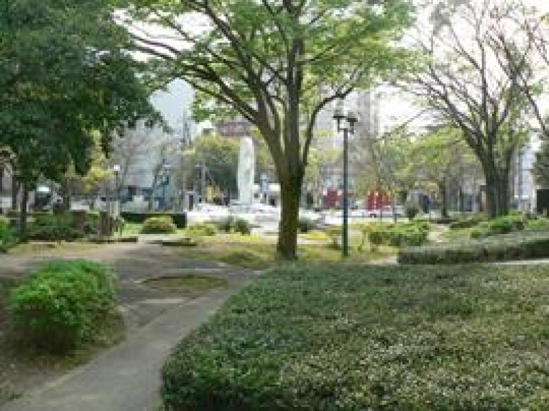 市街地のオアシス目指す　日本庭園整備し中核に　千葉神社　山本栄宮司　【文化が薫る街づくり　門前町構想】（２）