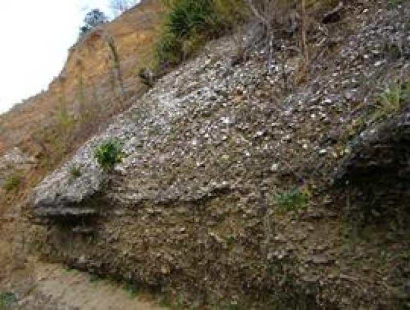 「房州石」県の石認定　近代化に貢献、新種の鉱物も　日本地質学会