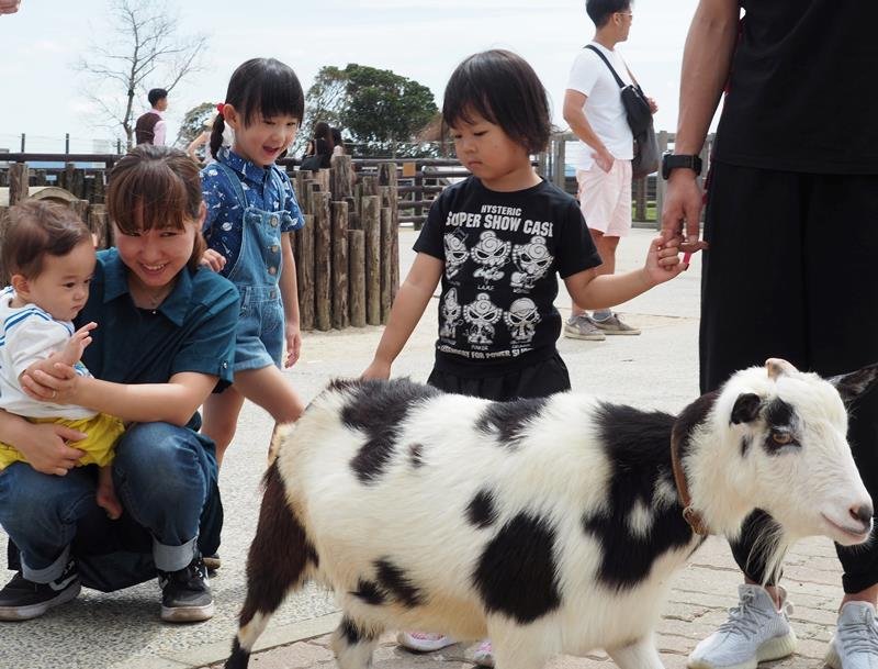 営業を再開したマザー牧場で、動物と触れ合う家族連れ＝２８日、富津市田倉
