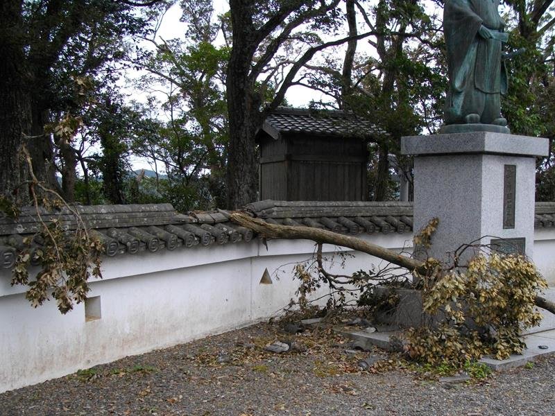 台風１５号による倒木で壊れた久留里城の塀（君津市立久留里城址資料館提供）