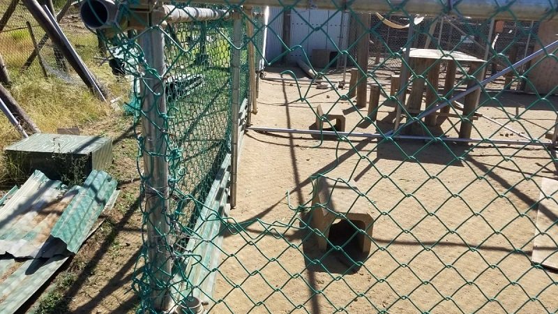 ニホンザル７０匹脱走　何者かがフェンス切断　富津・高宕山自然動物園