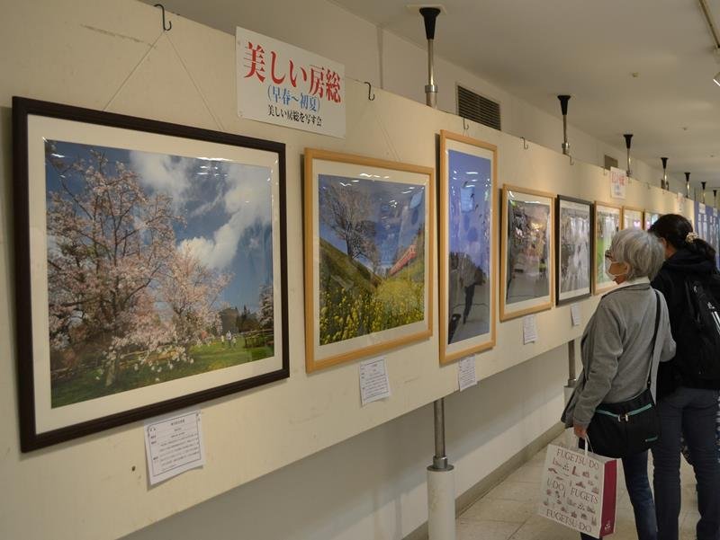 早春から初夏にかけての房総の風景が並ぶ写真展＝６日、千葉市中央区のそごう千葉店
