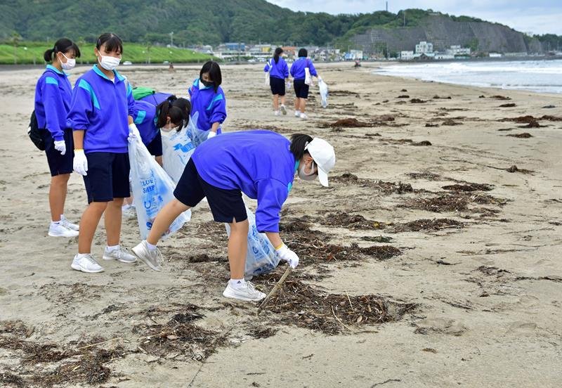 砂浜で流木などを拾い集める御宿中の生徒たち＝御宿海岸
