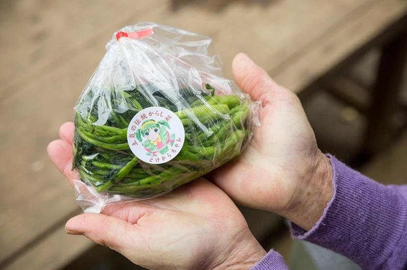“食の世界遺産”初認定　土気からし菜　千葉市緑区