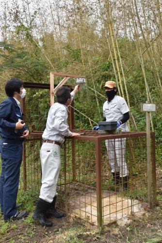 有害鳥獣捕獲用の箱わなにセンサーを取り付ける事業者＝南房総市
