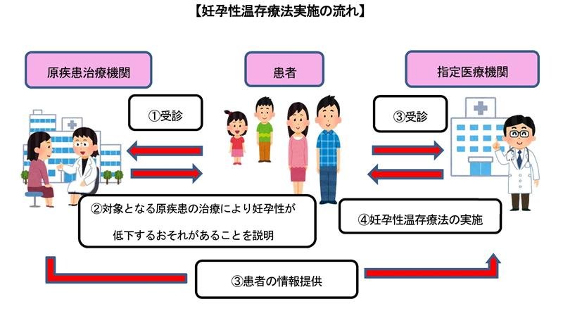 将来子どもを産み育てることを望むがん患者等への新規助成事業の流れ（県提供）
