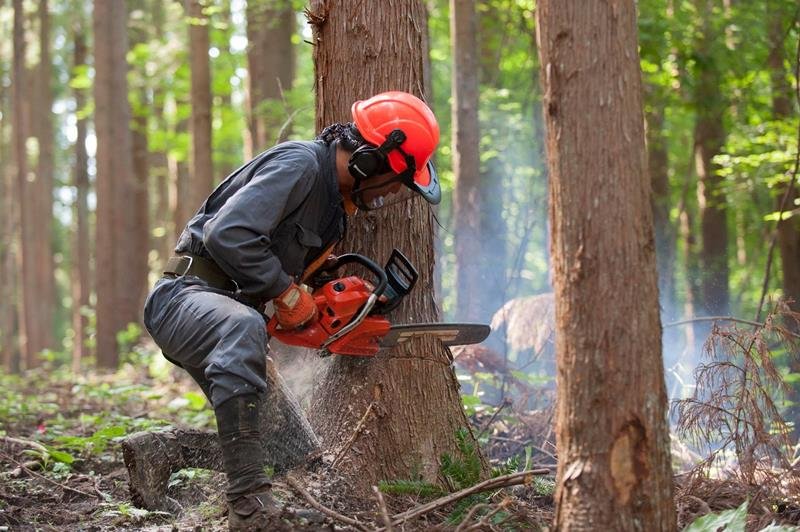 山生かし地域に貢献　課題解決へ森林整備　フォレストノーツ　（大多喜町）　【ちばの元気企業】