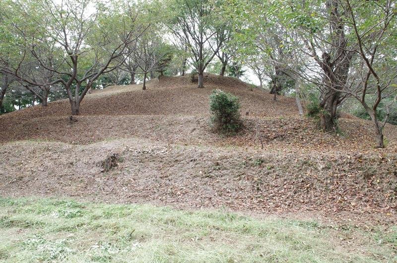 謎の巨大六角遺跡　民間から無償取得　市原市　全長６０メートル、有力者の墓か