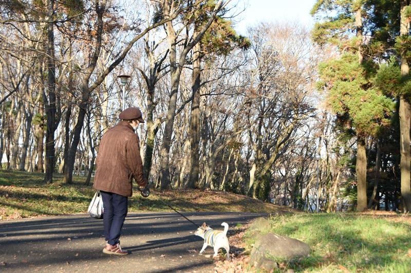 厳しい寒さの中、厚手のコートを着て犬の散歩をする女性＝１５日午後、千葉市若葉区
