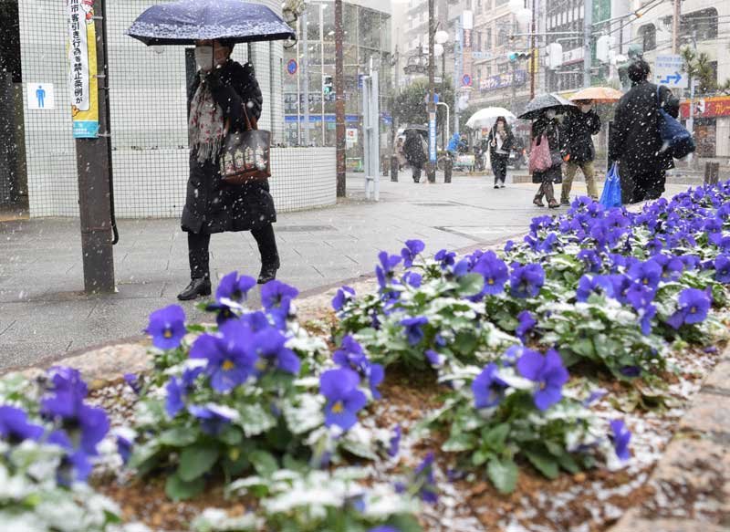 【速報】千葉県内に雪、本降りに　全域に大雪警報も