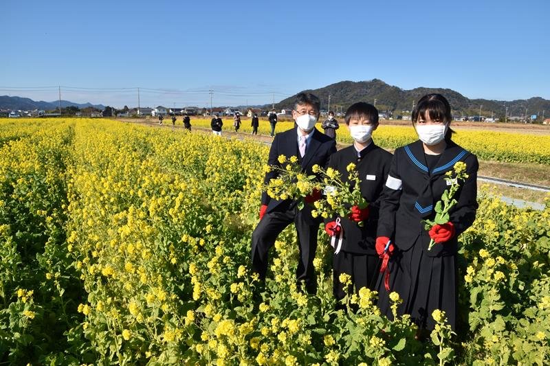 鴨川に早くも春の気配　３万３千平方メートル、一面に菜の花　菜な畑ロードオープン