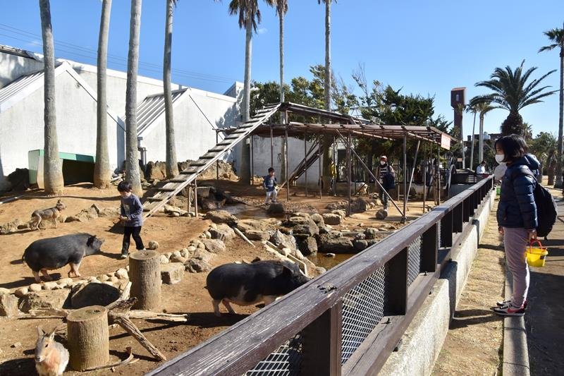 【まん延防止　初の週末】　家族連れ客「屋内避けた」　船橋アンデルセン公園、先週比２～３割減　館山アロハガーデン「なるようにしか」