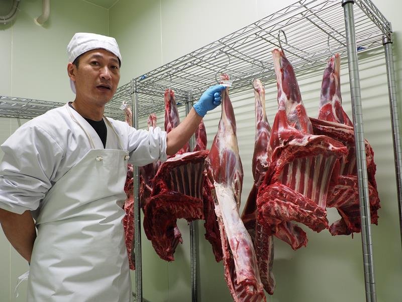 解体後、熟成室にぶら下がるイノシシやシカの肉。フレンチシェフの岡田さんが腕を振るう＝木更津市の「オーガニックブリッジ」
