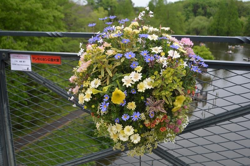 季節の草花空中展示　ふなばしアンデルセン公園　５月５日まで７９作品ずらり
