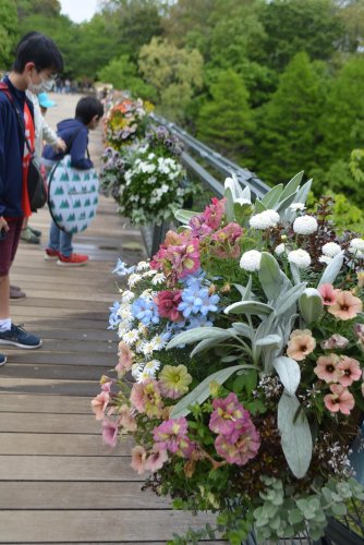 アンデルセン公園大賞に選ばれた作品。ウクライナカラーの花で、平和や子どもたちの未来を願っている＝船橋市
