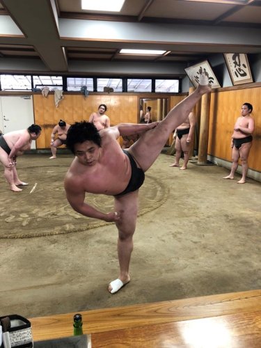 関取を目指し、稽古に励む琴手計さん（佐渡ケ嶽部屋提供）
